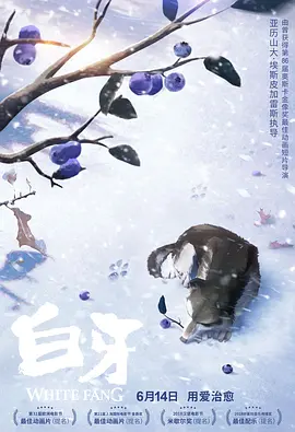 国产三级在线观看视频不卡